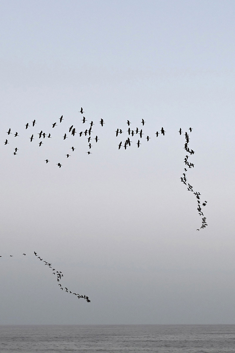 Doppelseite Freedom aus dem Buch Rosarot – Klarheit im Gefühlschaos