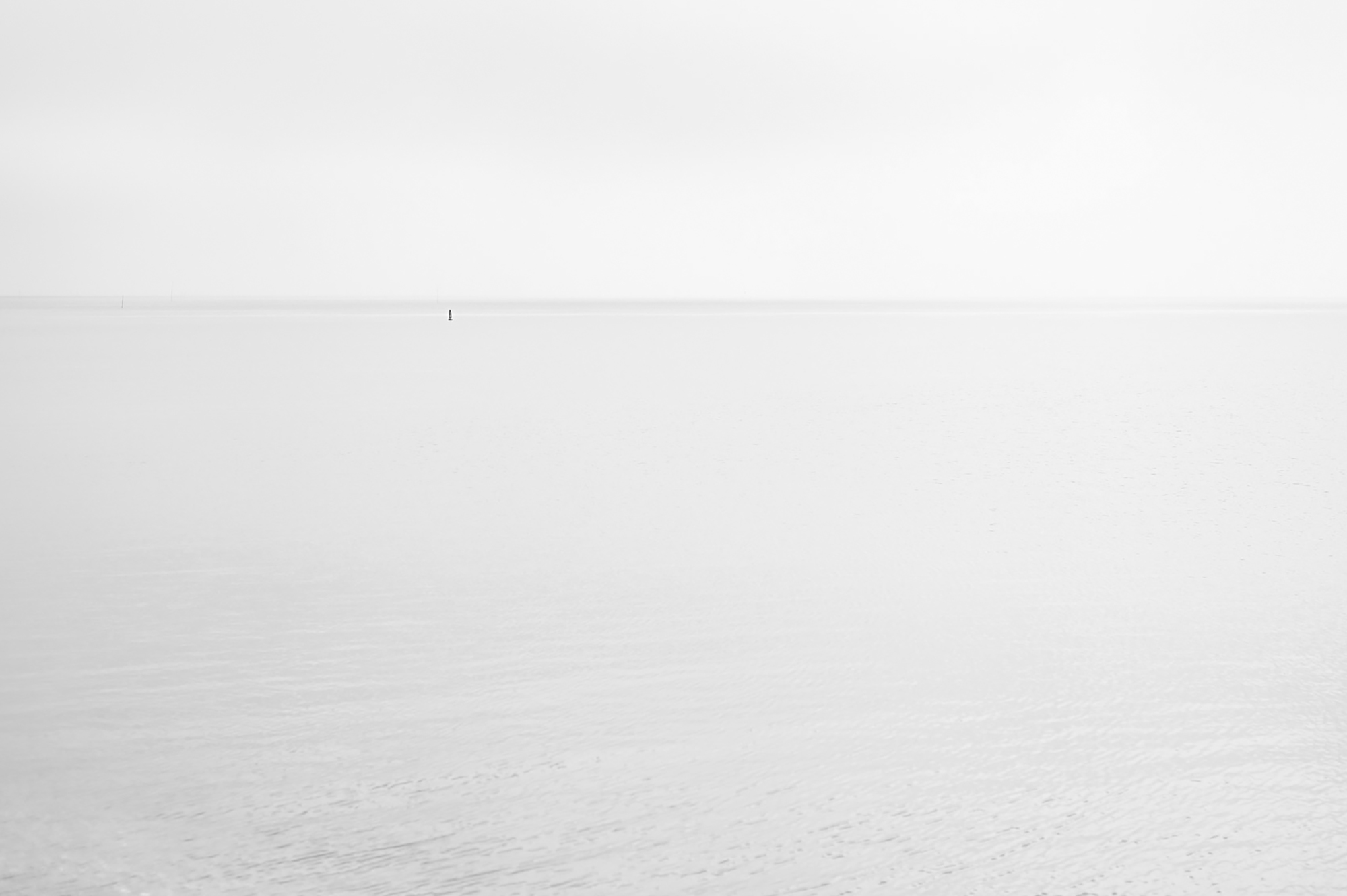 Vorschau zum Projekt: Unfold — Between von Kathrina Looser
