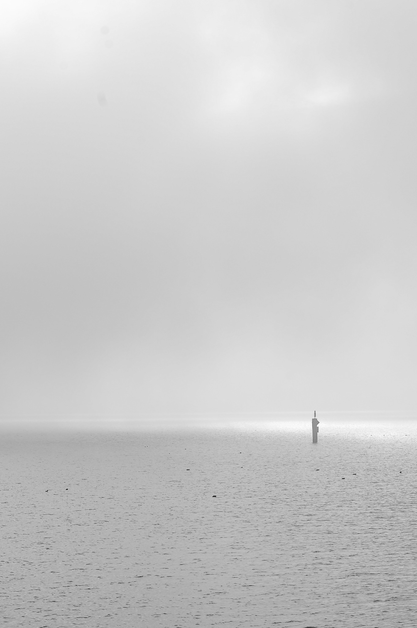 Unfold — Between von Kathrina Looser: Atmosphäre zwischen Horizont und Körper