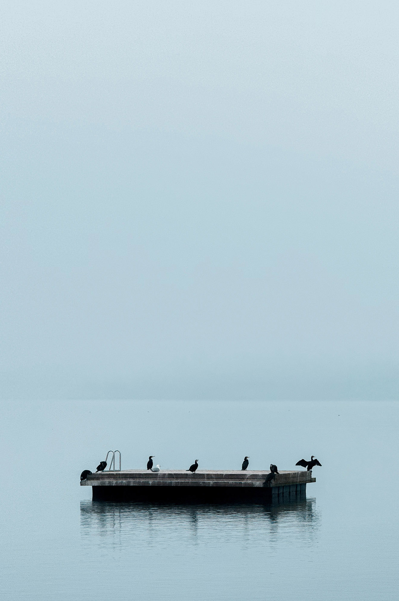 Unfold — Between von Kathrina Looser: Weite als Form, aussen wie innen